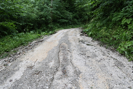 Neurje_Občina Kamnik (4)